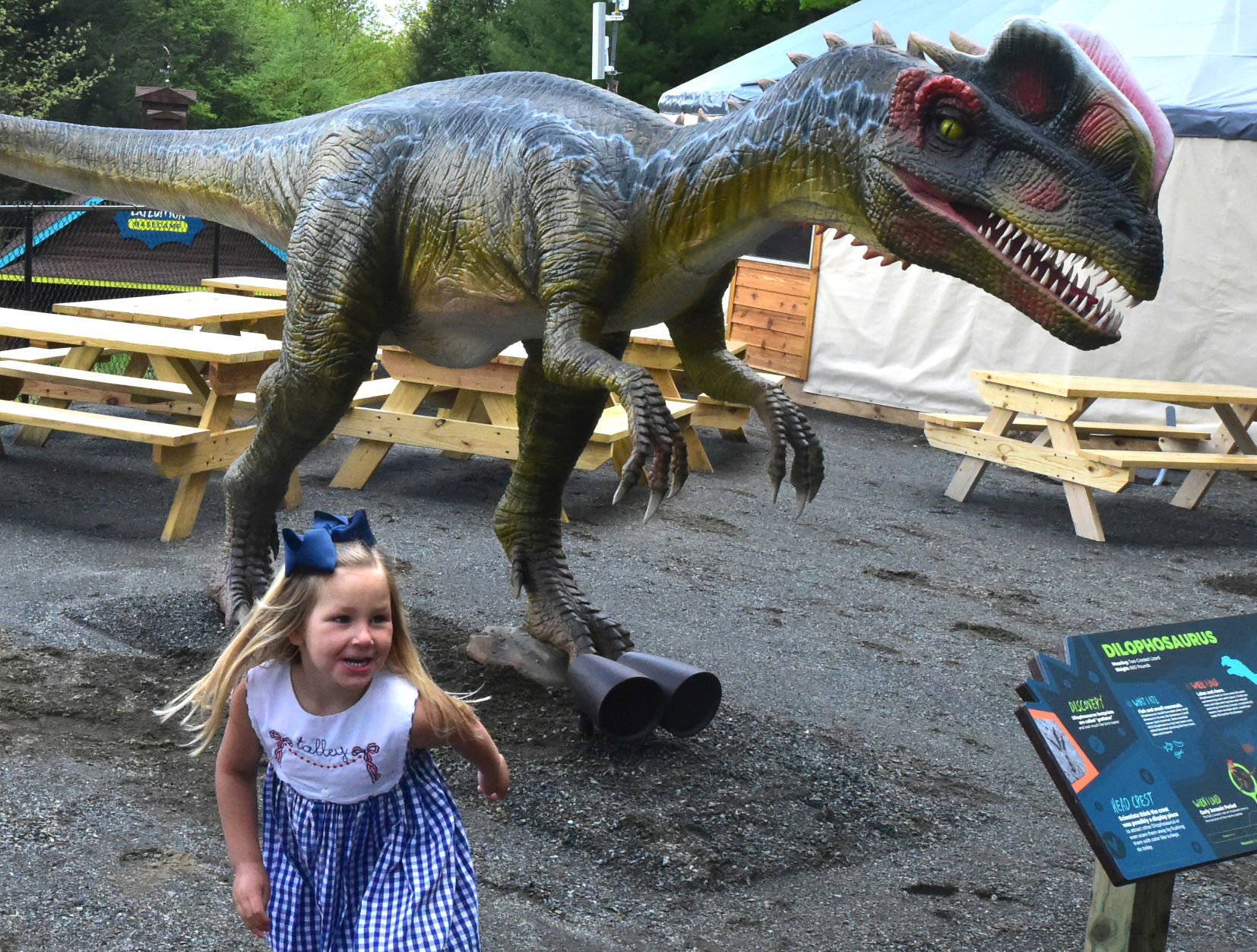 New dinosaur attractions opens